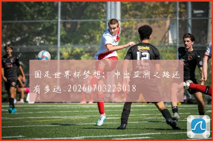 国足世界杯梦想:冲出亚洲之路还有多远_20260703223018