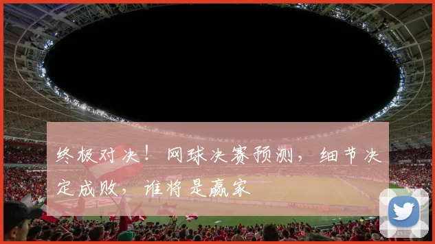 终极对决！网球决赛预测，细节决定成败，谁将是赢家