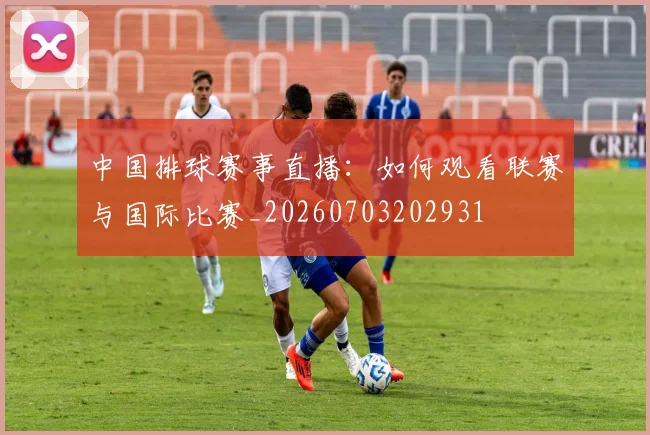 中国排球赛事直播:如何观看联赛与国际比赛_20260703202931