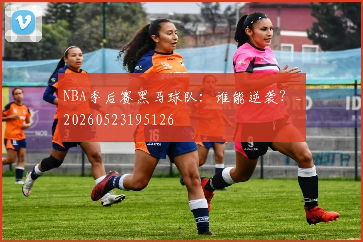 NBA季后赛黑马球队：谁能逆袭？_20260523195126